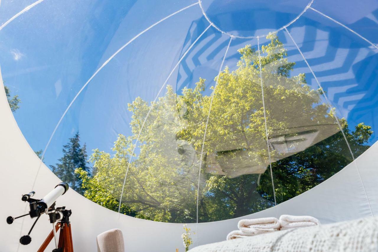 Somn'en bulle Hotell Najac Exteriör bild